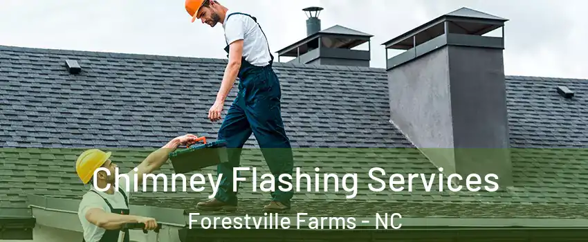 Chimney Flashing Services Forestville Farms - NC