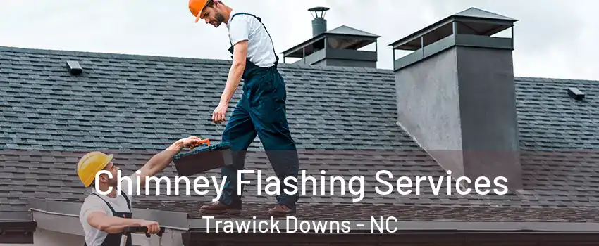 Chimney Flashing Services Trawick Downs - NC