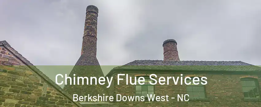 Chimney Flue Services Berkshire Downs West - NC