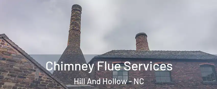 Chimney Flue Services Hill And Hollow - NC
