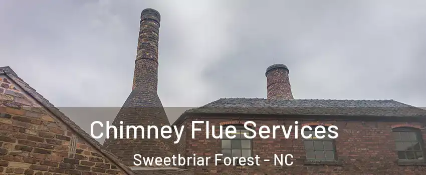 Chimney Flue Services Sweetbriar Forest - NC