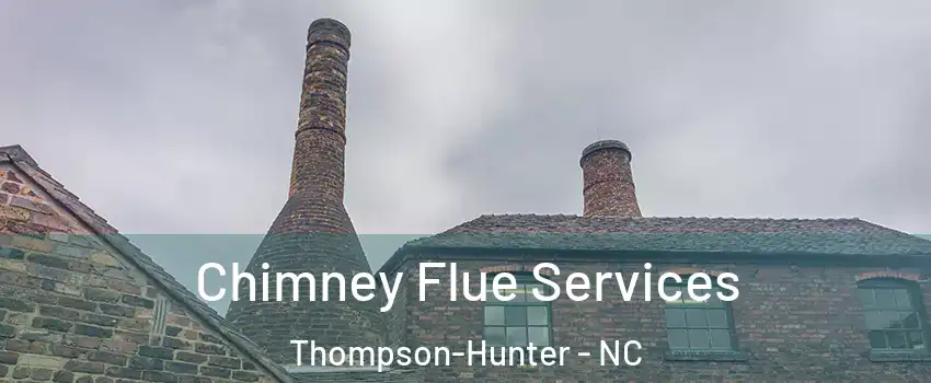 Chimney Flue Services Thompson-Hunter - NC