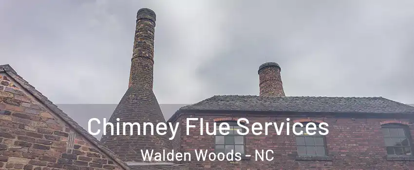 Chimney Flue Services Walden Woods - NC