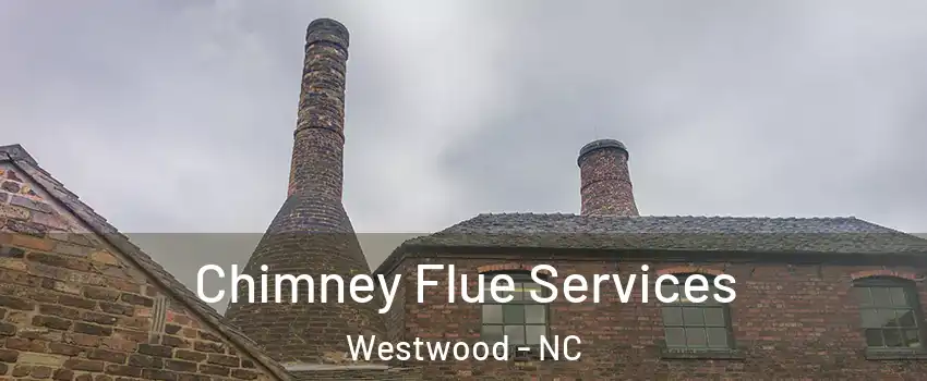 Chimney Flue Services Westwood - NC