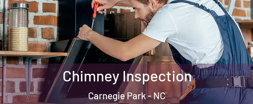 Chimney Inspection Carnegie Park - NC