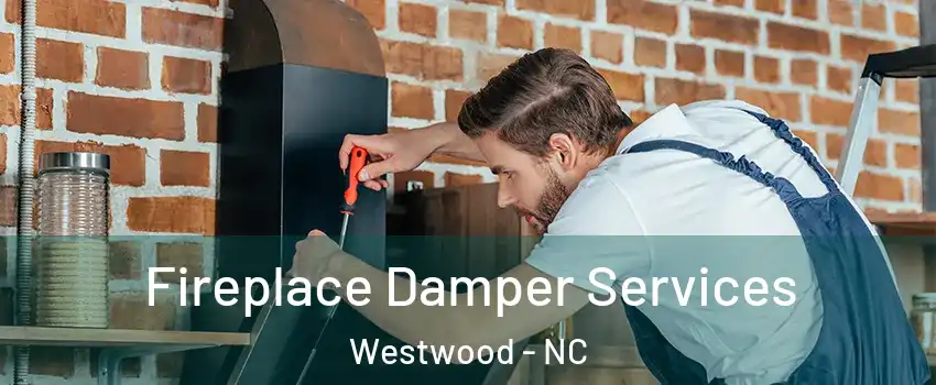 Fireplace Damper Services Westwood - NC