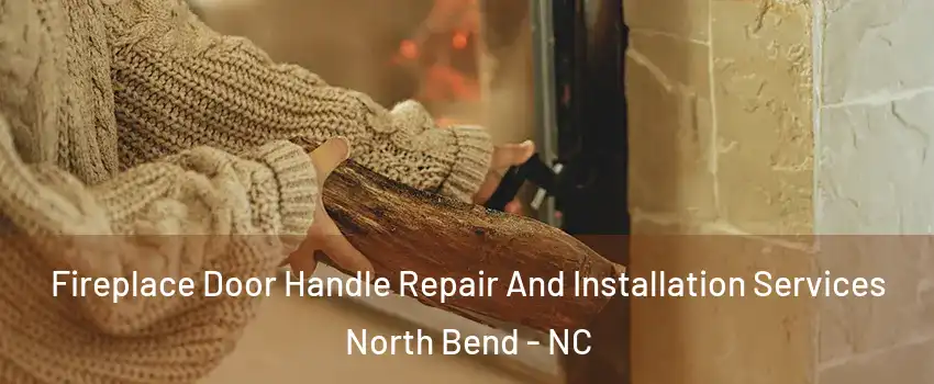 Fireplace Door Handle Repair And Installation Services North Bend - NC