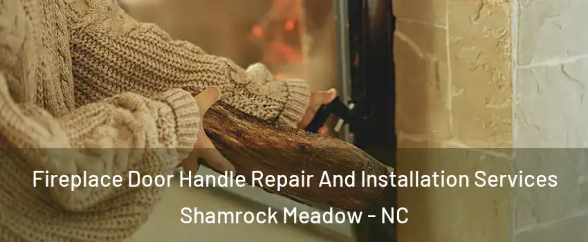 Fireplace Door Handle Repair And Installation Services Shamrock Meadow - NC