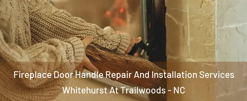 Fireplace Door Handle Repair And Installation Services Whitehurst At Trailwoods - NC