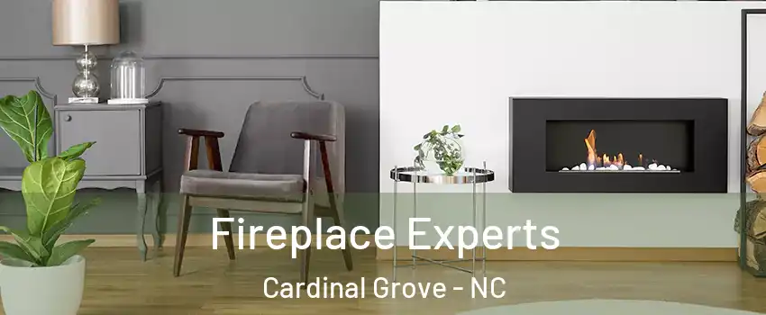 Fireplace Experts Cardinal Grove - NC