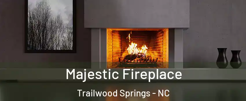 Majestic Fireplace Trailwood Springs - NC