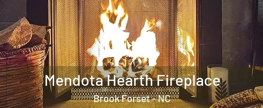 Mendota Hearth Fireplace Brook Forset - NC