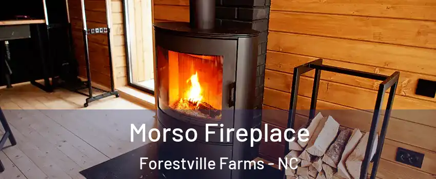 Morso Fireplace Forestville Farms - NC