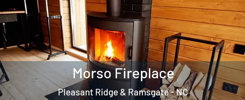 Morso Fireplace Pleasant Ridge & Ramsgate - NC
