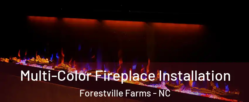 Multi-Color Fireplace Installation Forestville Farms - NC