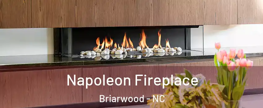 Napoleon Fireplace Briarwood - NC