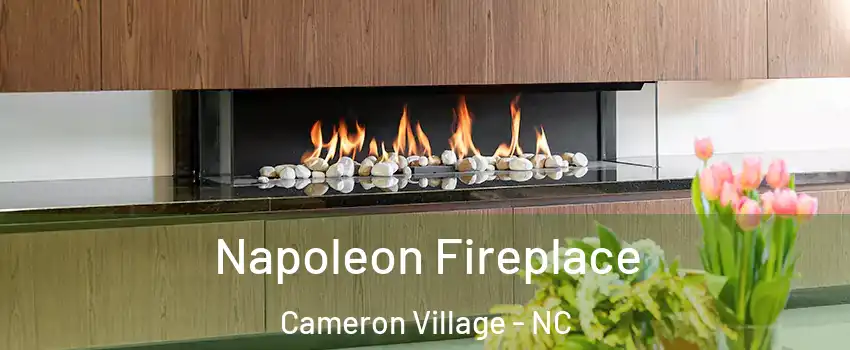 Napoleon Fireplace Cameron Village - NC