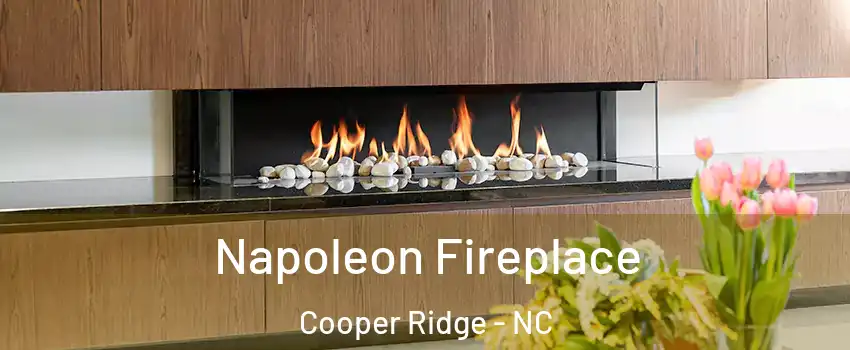 Napoleon Fireplace Cooper Ridge - NC