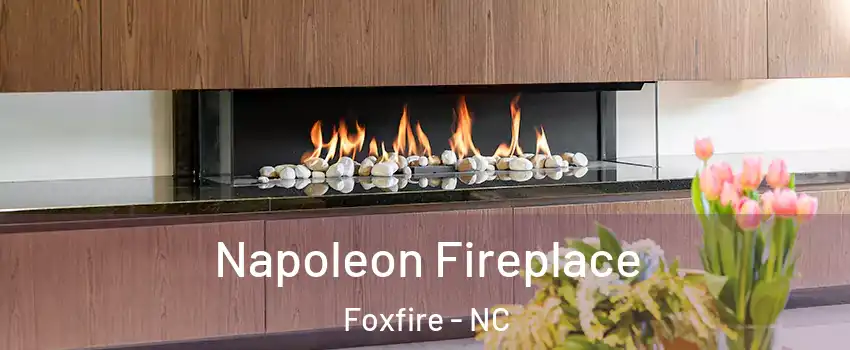 Napoleon Fireplace Foxfire - NC