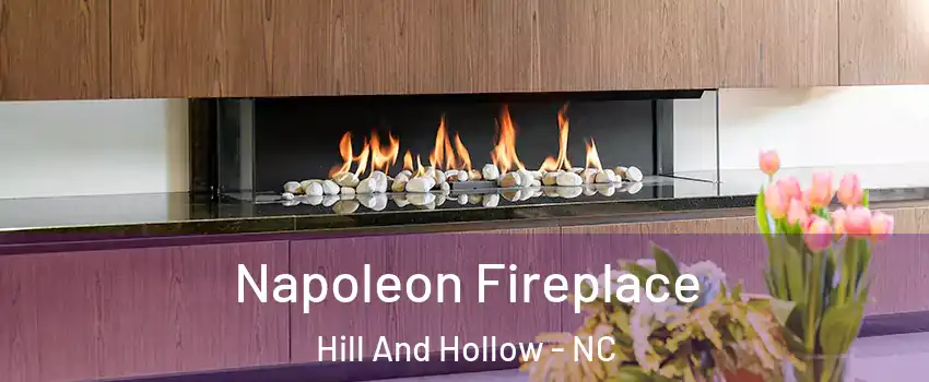 Napoleon Fireplace Hill And Hollow - NC