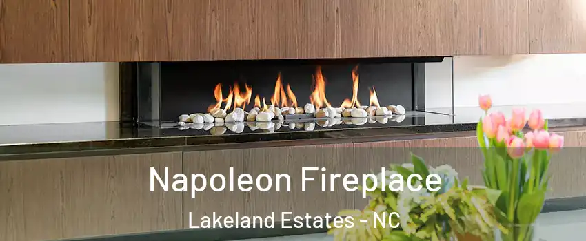 Napoleon Fireplace Lakeland Estates - NC