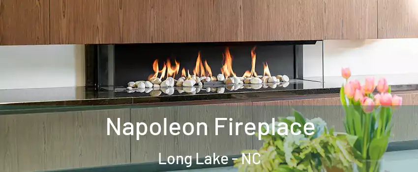 Napoleon Fireplace Long Lake - NC