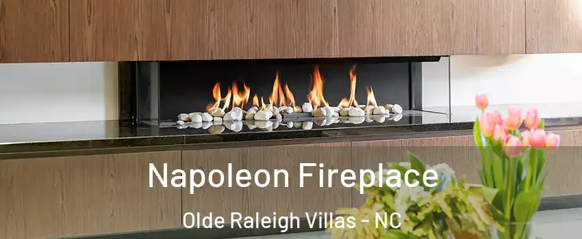 Napoleon Fireplace Olde Raleigh Villas - NC