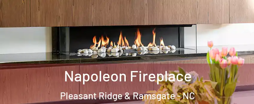 Napoleon Fireplace Pleasant Ridge & Ramsgate - NC