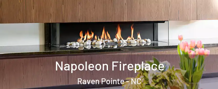 Napoleon Fireplace Raven Pointe - NC