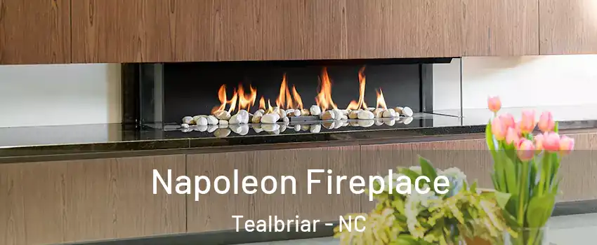 Napoleon Fireplace Tealbriar - NC