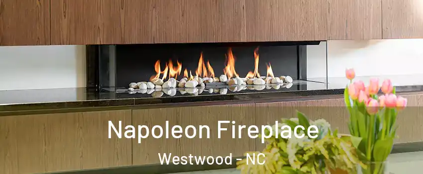 Napoleon Fireplace Westwood - NC