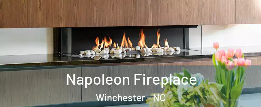 Napoleon Fireplace Winchester - NC