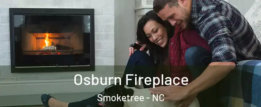 Osburn Fireplace Smoketree - NC