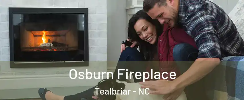 Osburn Fireplace Tealbriar - NC