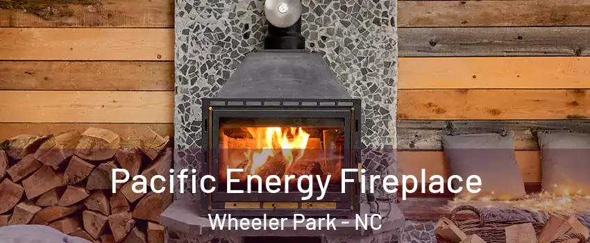Pacific Energy Fireplace Wheeler Park - NC