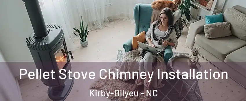 Pellet Stove Chimney Installation Kirby-Bilyeu - NC