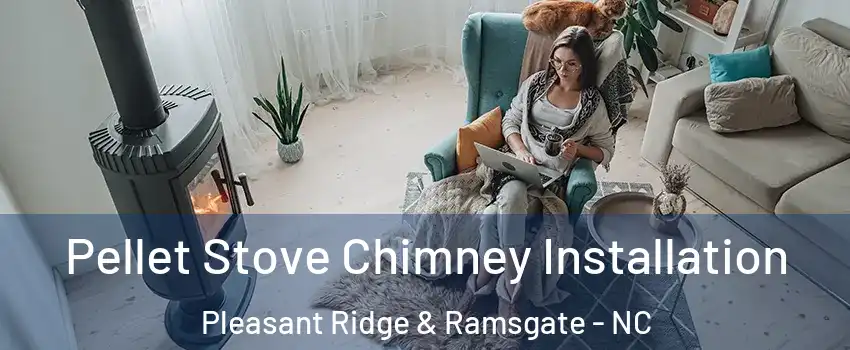 Pellet Stove Chimney Installation Pleasant Ridge & Ramsgate - NC