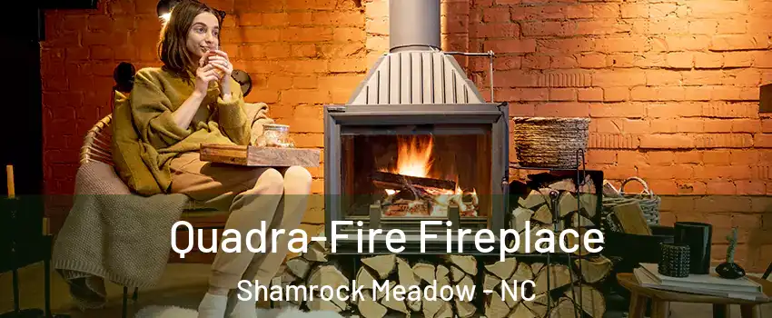 Quadra-Fire Fireplace Shamrock Meadow - NC