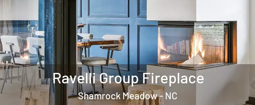Ravelli Group Fireplace Shamrock Meadow - NC