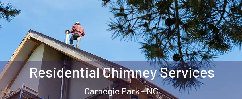 Residential Chimney Services Carnegie Park - NC