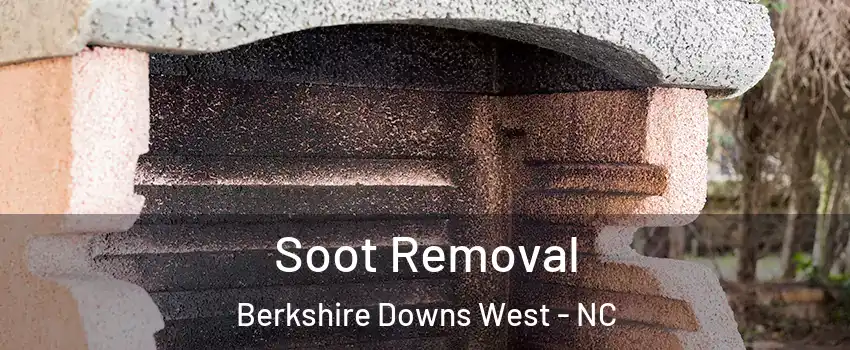 Soot Removal Berkshire Downs West - NC