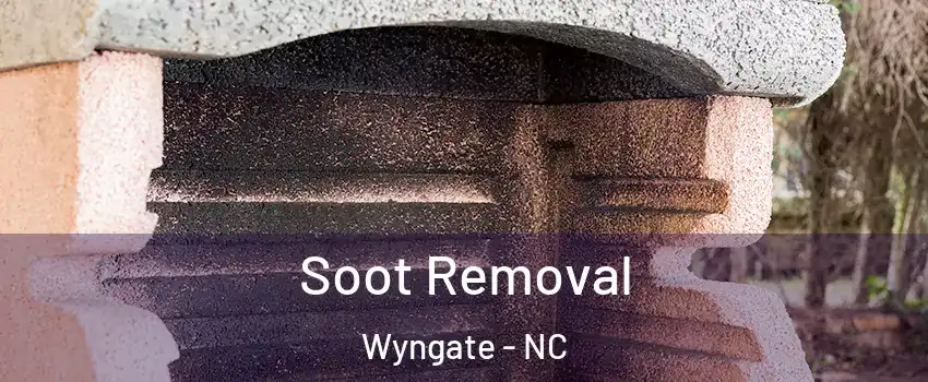 Soot Removal Wyngate - NC