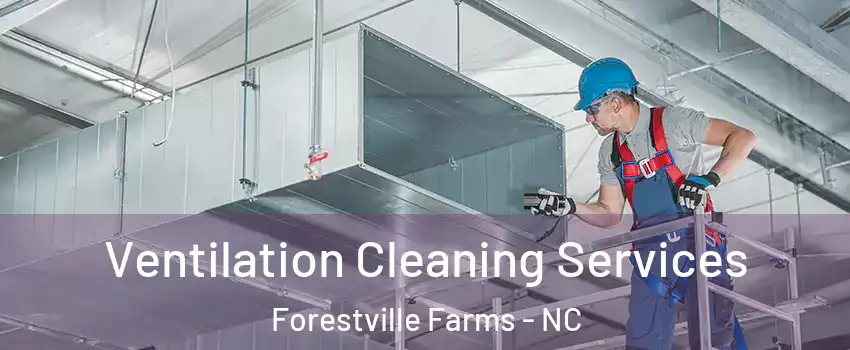 Ventilation Cleaning Services Forestville Farms - NC