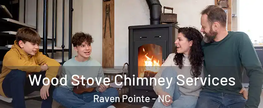 Wood Stove Chimney Services Raven Pointe - NC