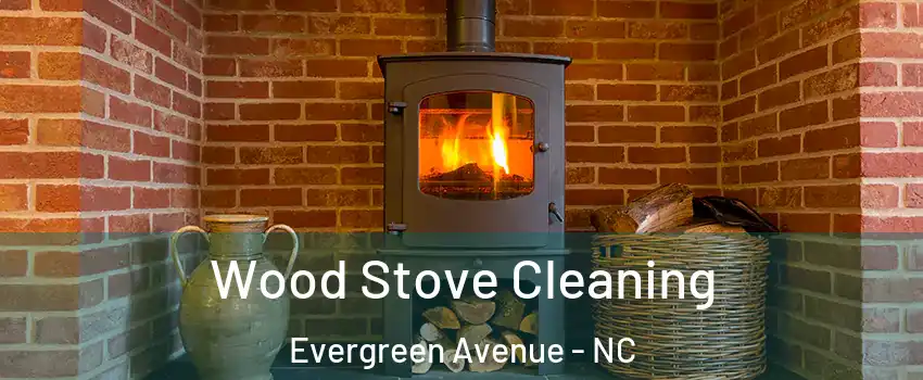 Wood Stove Cleaning Evergreen Avenue - NC